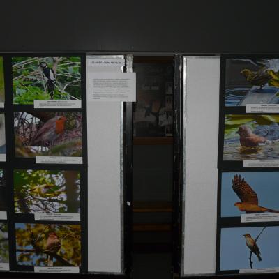 P1380937